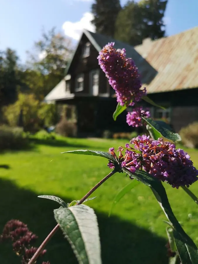 Willa Anna Szklarska Poręba Apartamento
